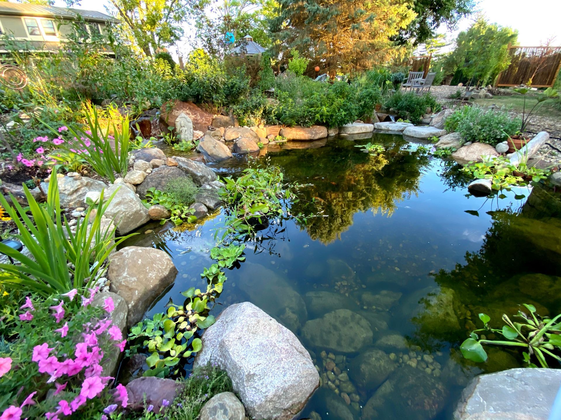 A pond surrounded by rocks and flowers in a garden