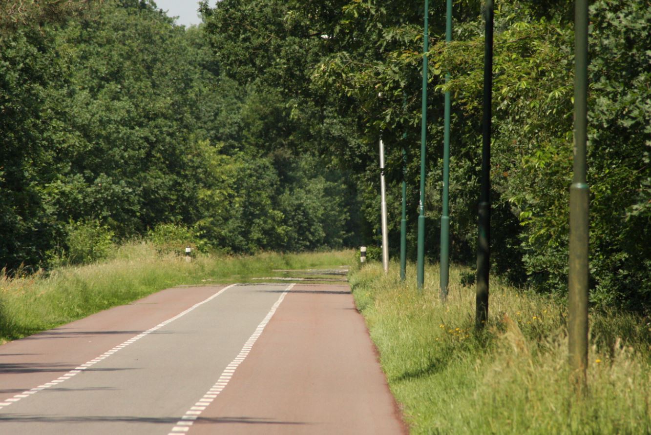 de weg na baks, bakscheven, new road, torrentjeshoeven, baksvenweg