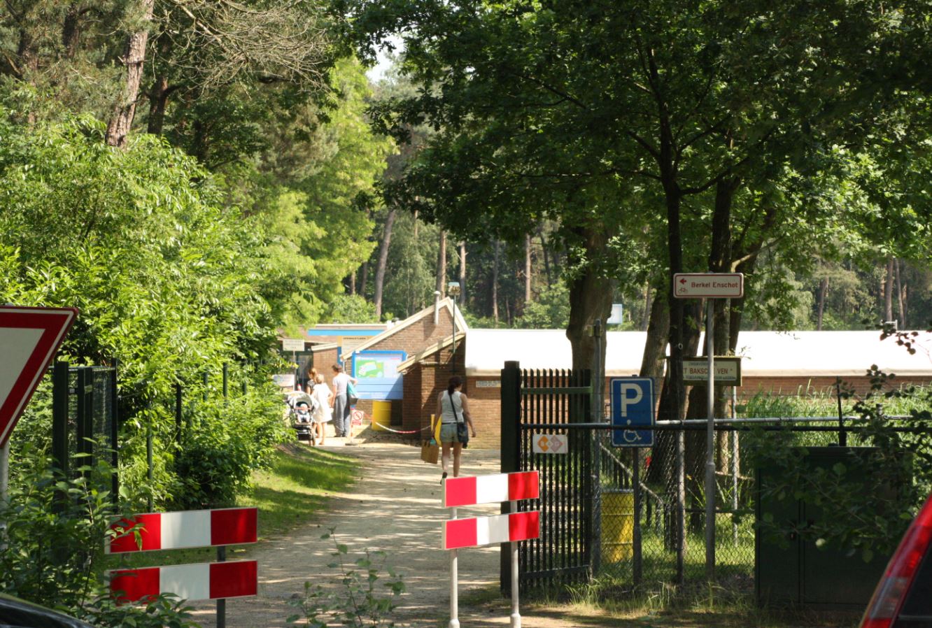 de weg na baks, bakscheven, new road, torrentjeshoeven, baksvenweg