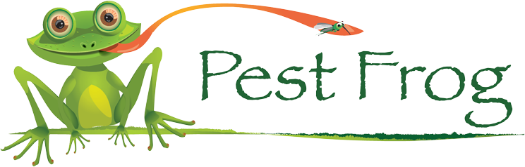 Pest Frog