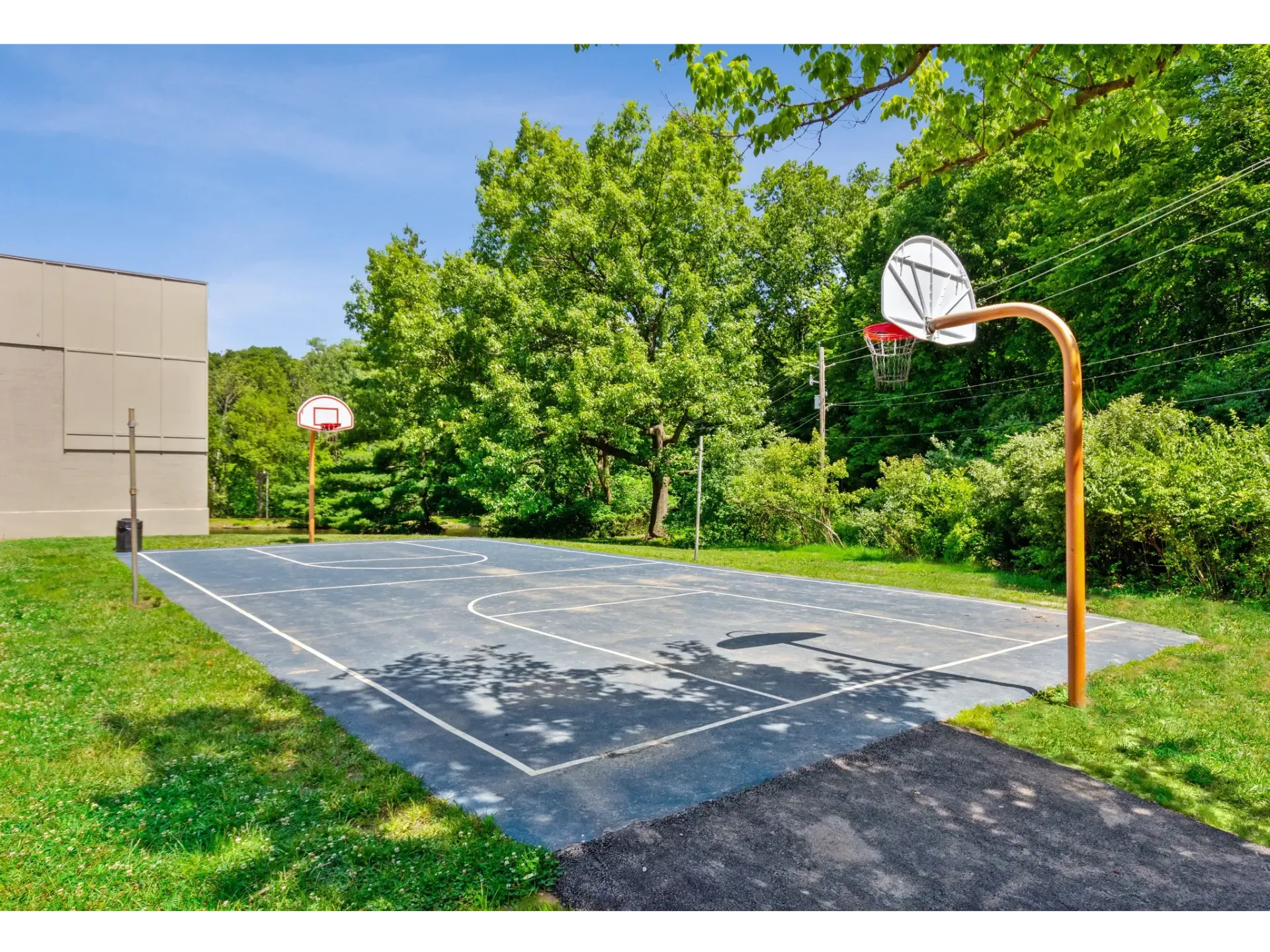 Outdoor basketball court surrounded by greenery