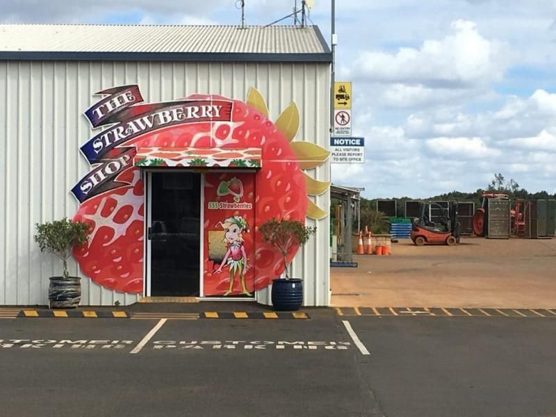 Kanga Kooler – Kangaroo Meat Harvesting