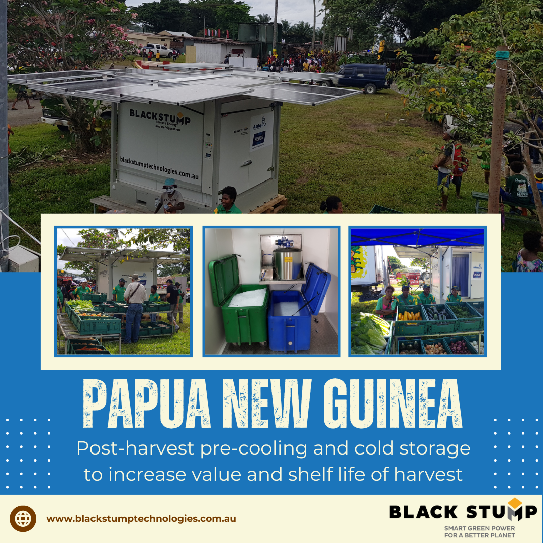 Refrigerated container in Papua New Guinea for produce pre-cooling & cold storage, with three inset photos of workers.