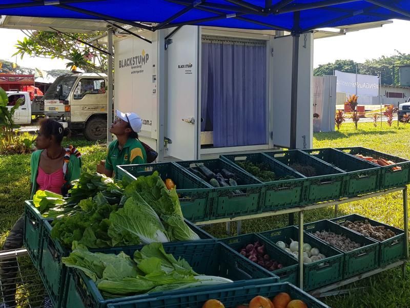 How to make cold chain solutions eco-friendly and financially viable