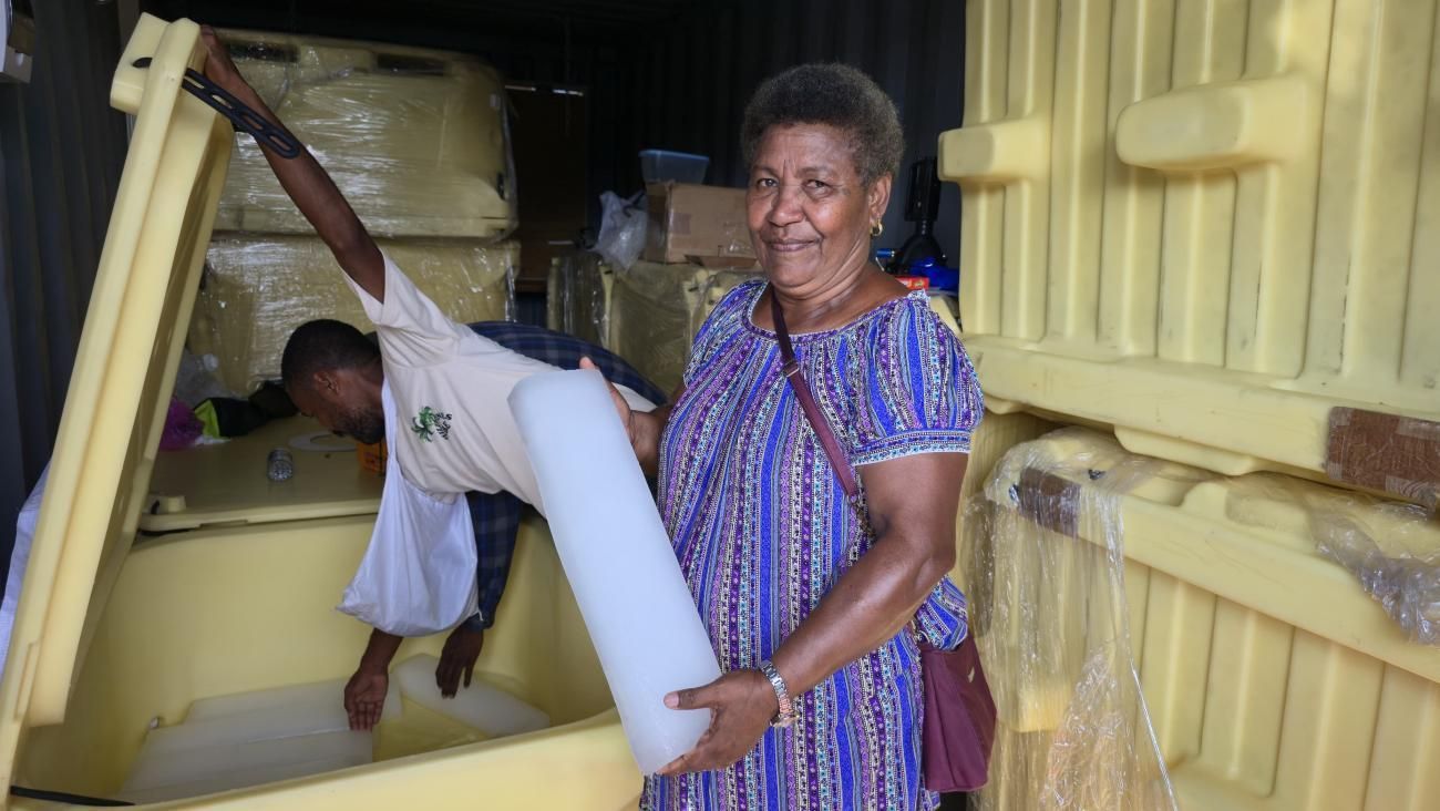 Woman holding a white container smiles, next to open yellow storage units. Another person is inside one unit.