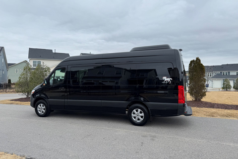 Black Mercedes-Benz Sprinter van, parked, front view.