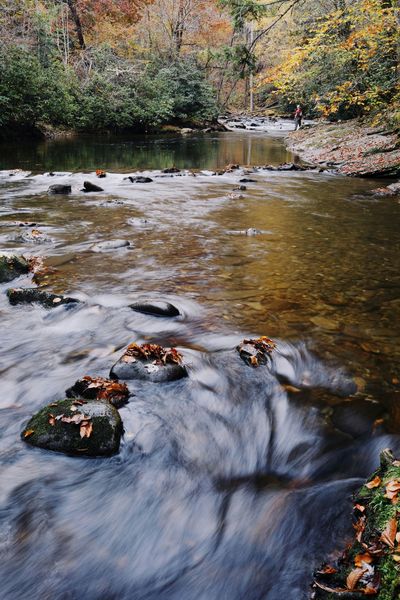 A river flowing through a forest with rocks in the foreground and trees in the background.