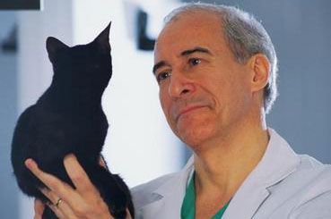 Cat Adoption Donation