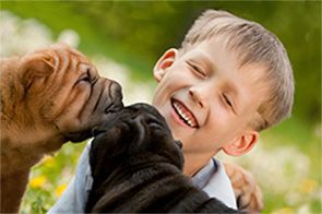 Dog Adoption Information