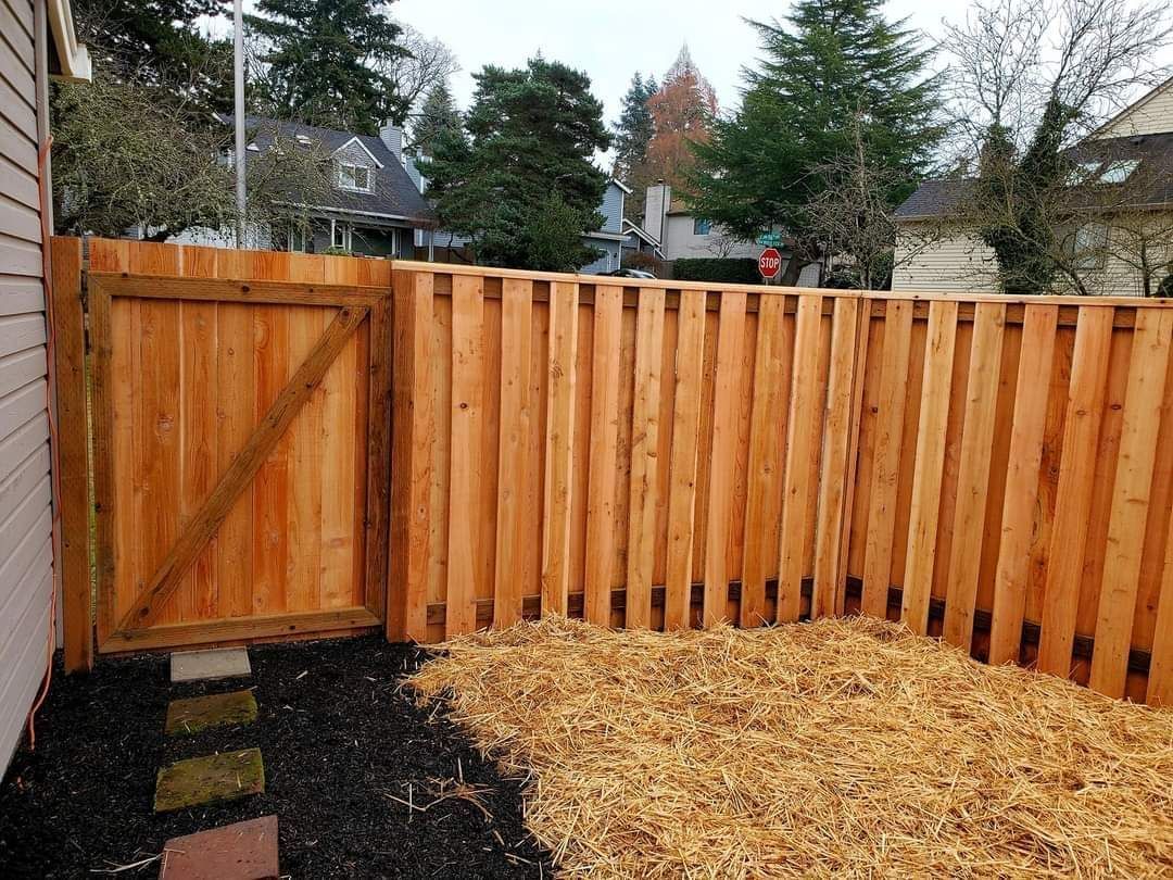A wooden fence with a gate in the backyard of a house.