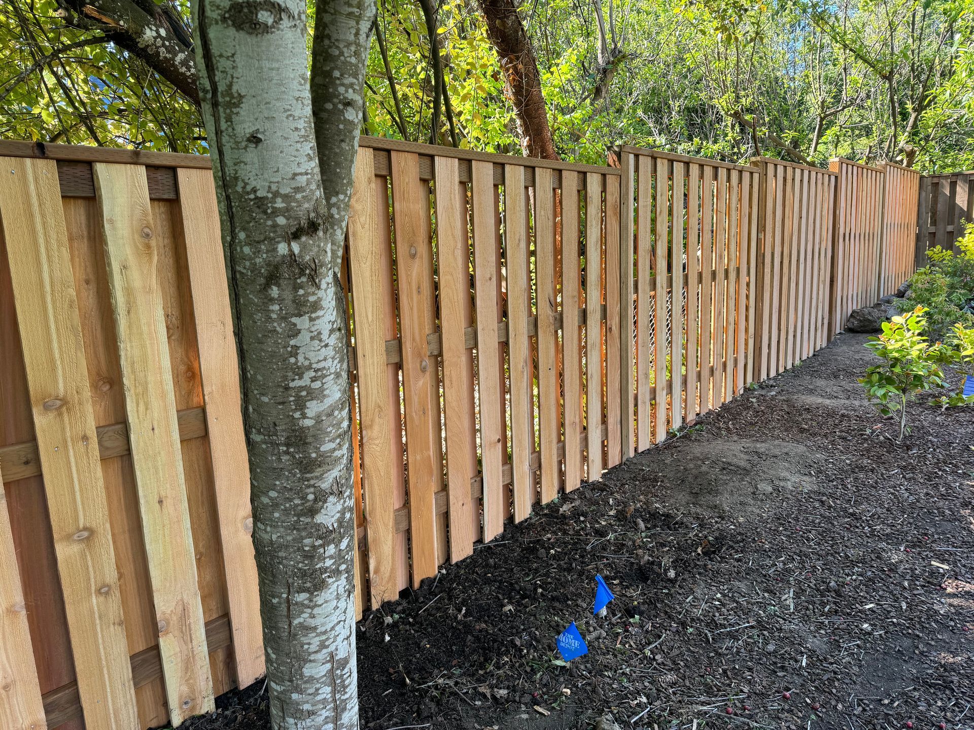 Wooden fence in a yard next to a tree, with dark mulch and green trees in the background.