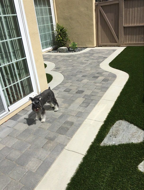 Drought Tolerant Landscaping