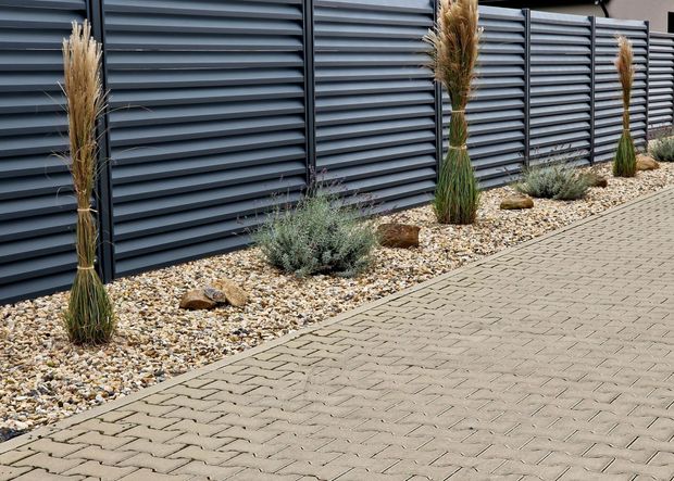 A fence with a lot of plants in front of it