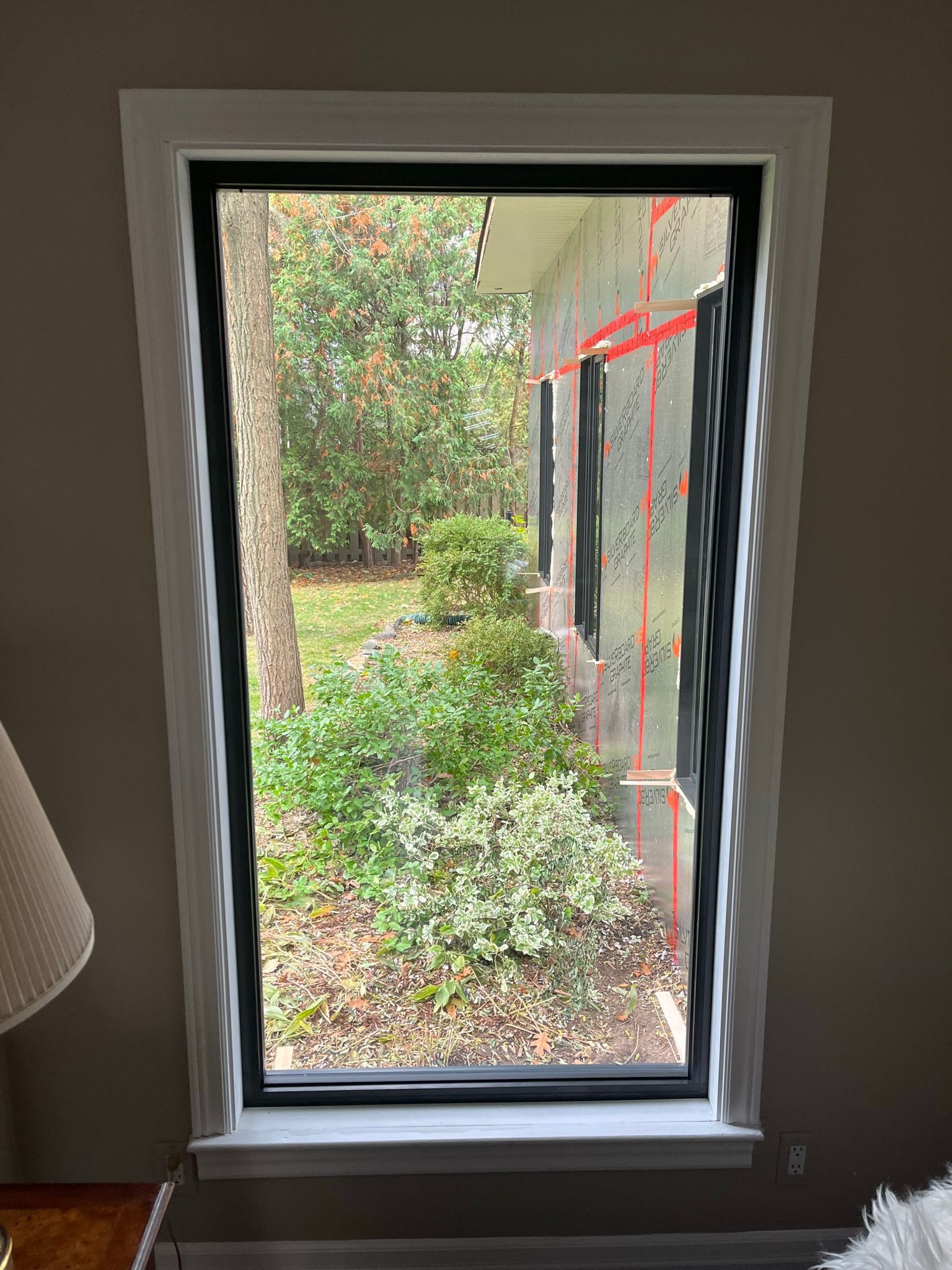 A window in a room with a view of a yard and trees.