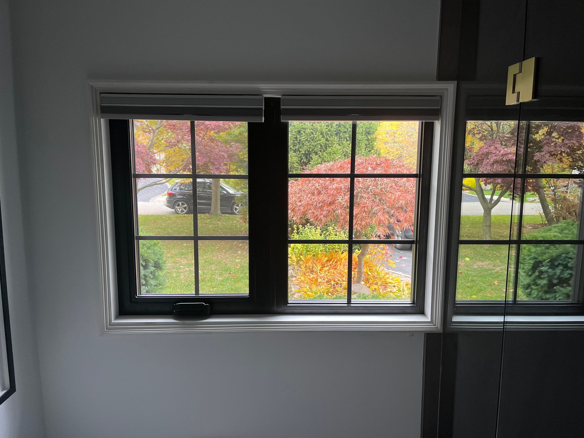 A room with two windows and a view of a yard.