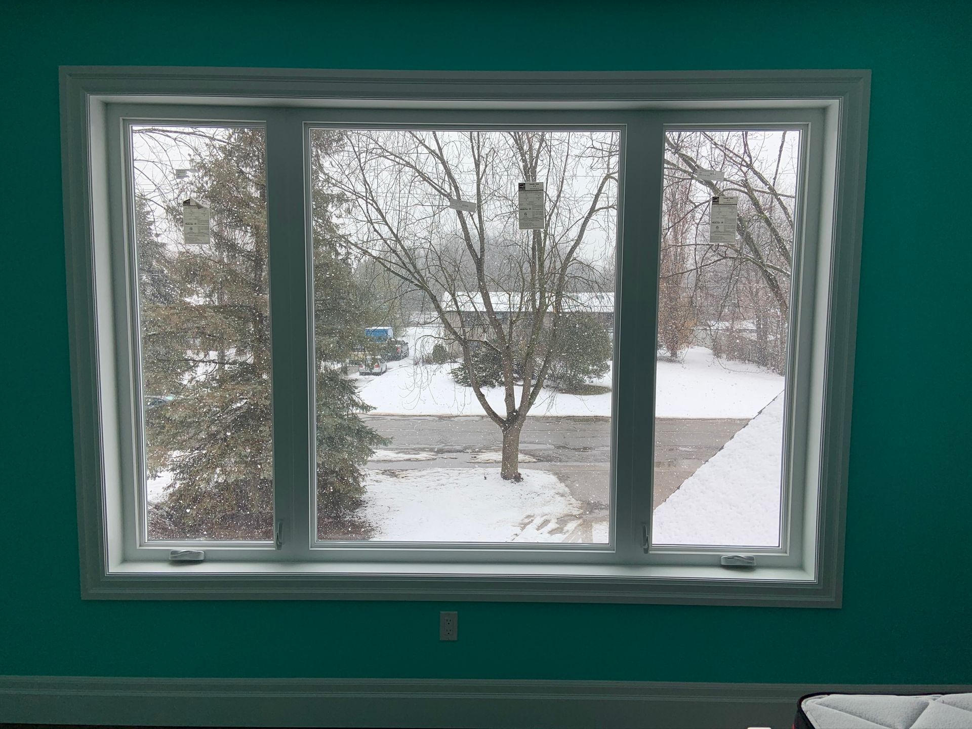 A large window with a view of a snowy yard and trees.