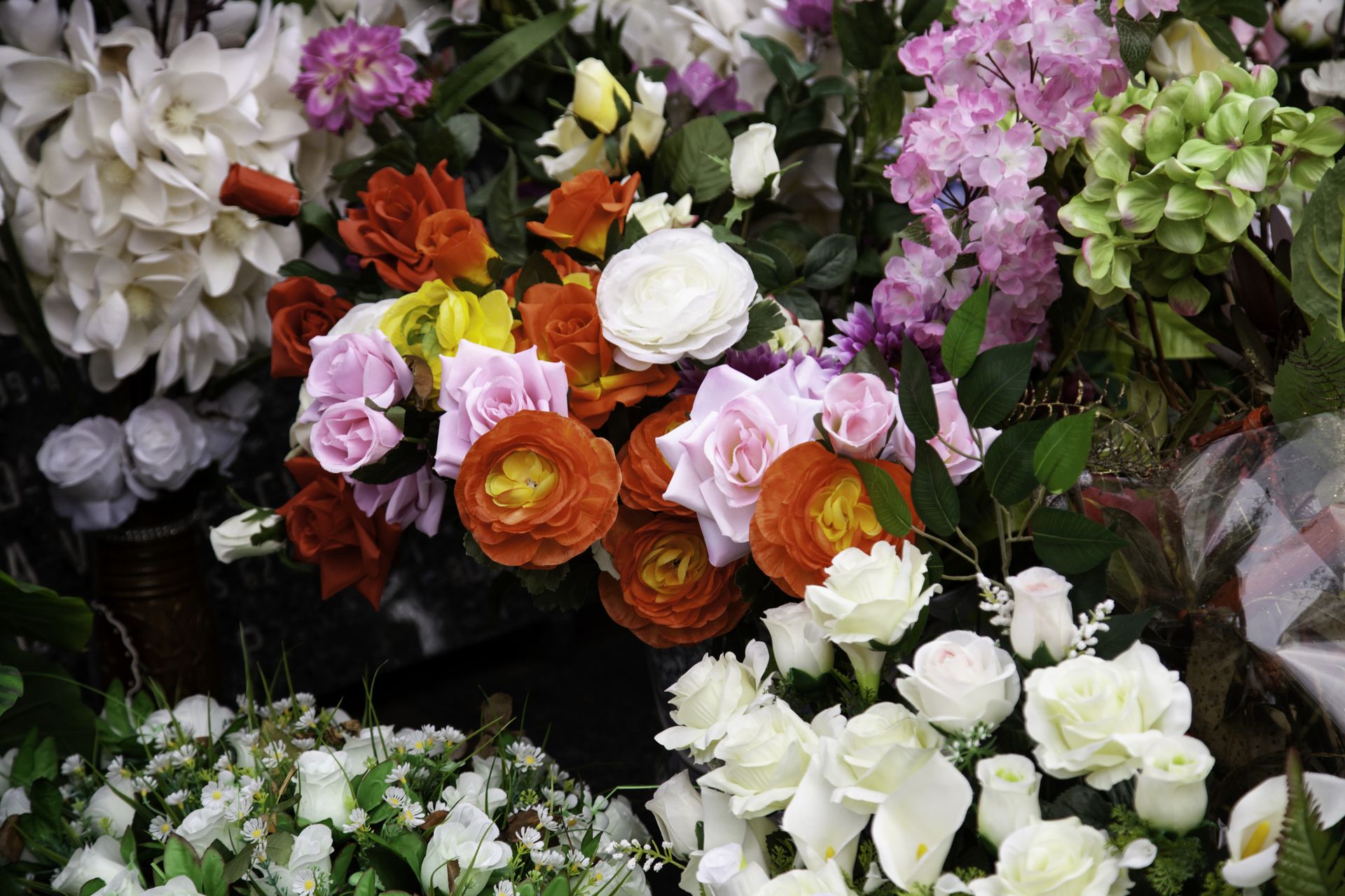 Conjunto de flores diversas.