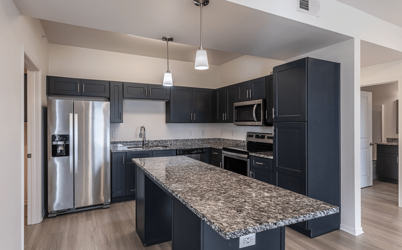 Interior of kitchen with black cabinetry