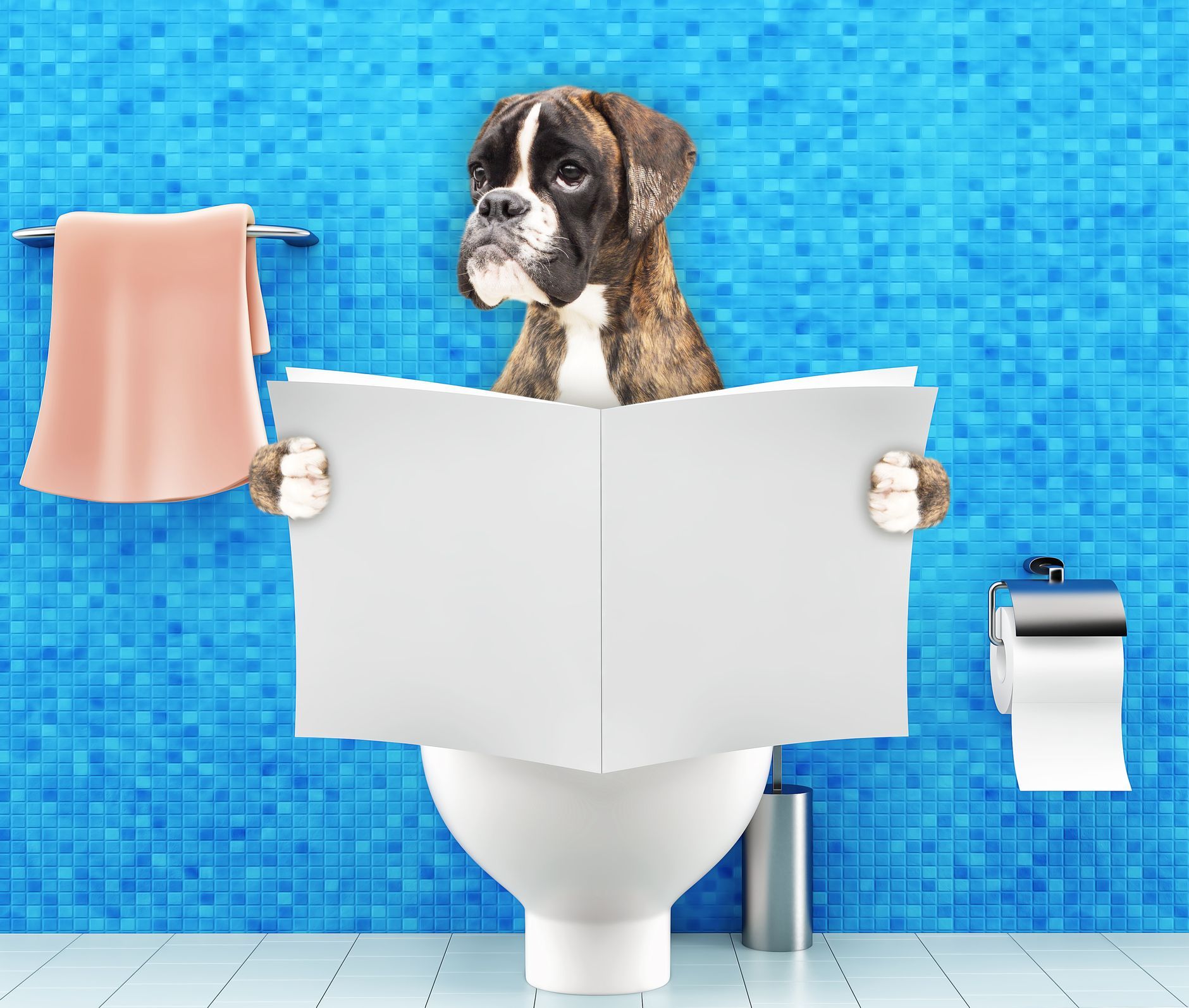 Boxer dog with digestion issues reading on toilet, promoting pet waste pick up service for relief.