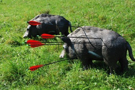 Bogenschiessen als Firmenevent