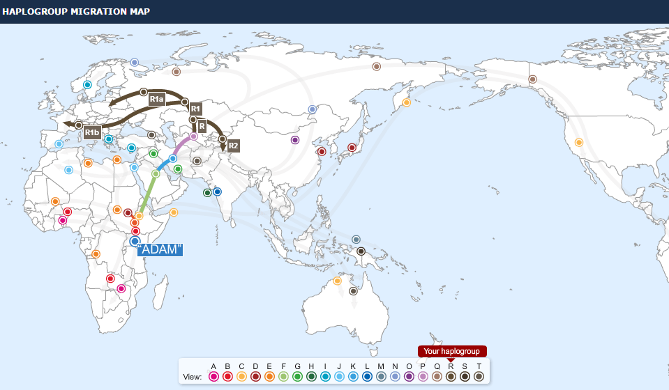Y-DNA Family Tree Migration Map - Zuluaga Paternal - Father - Male Ancestry