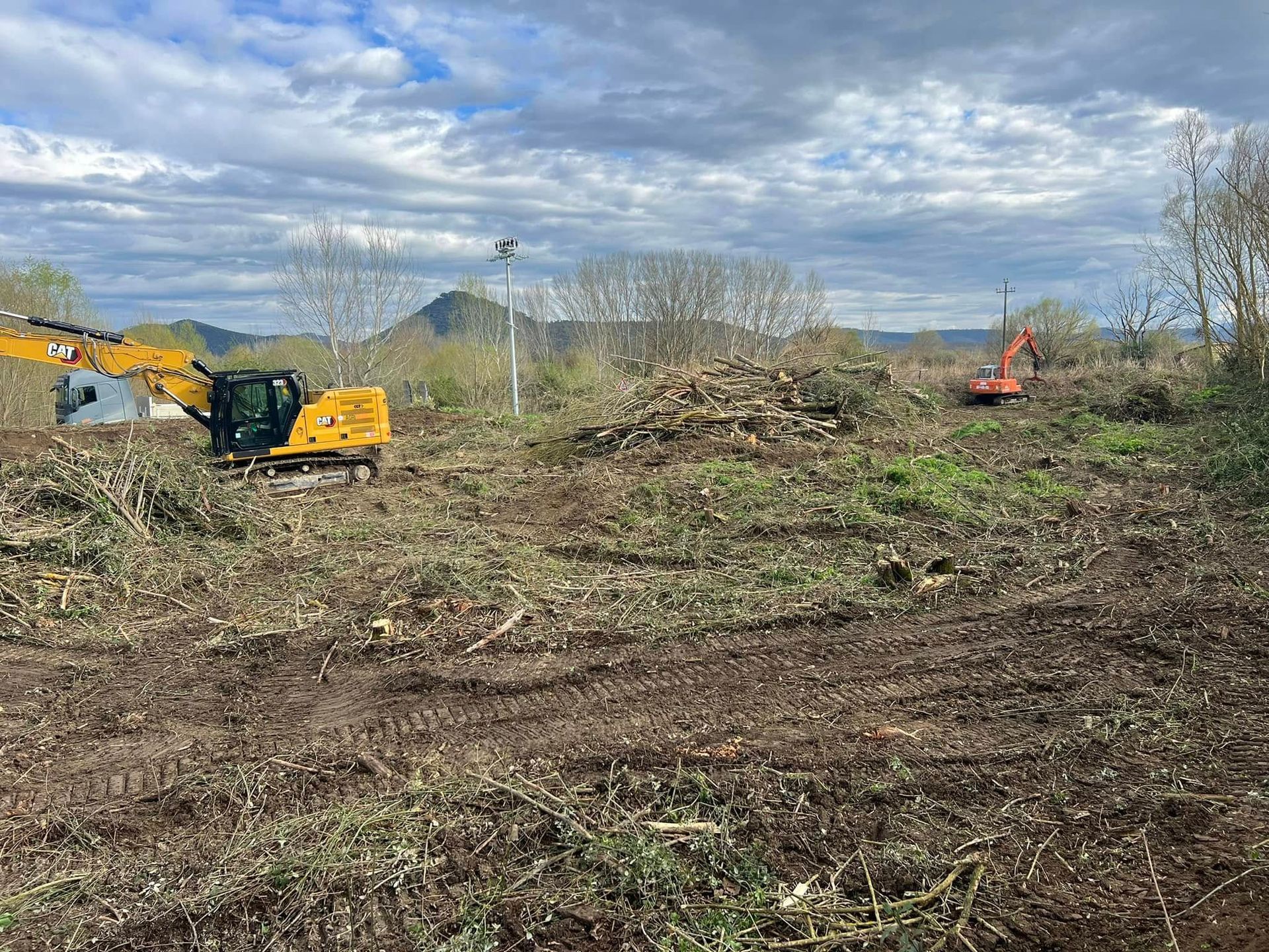 Due escavatori stanno ripulendo un campo di cespugli, sotto un cielo nuvoloso.