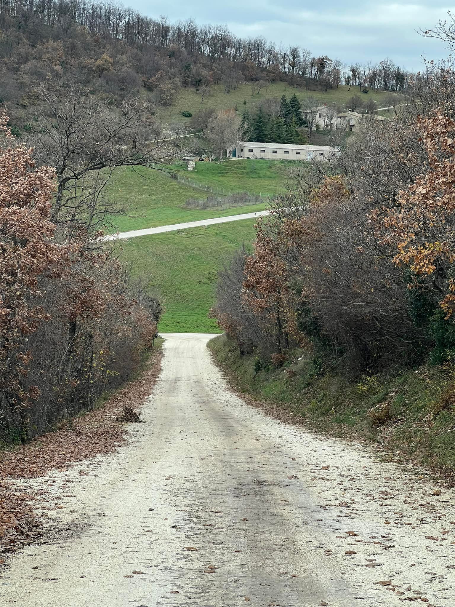 Una strada sterrata sale su una collina verde verso un edificio, fiancheggiato da alberi con foglie autunnali.
