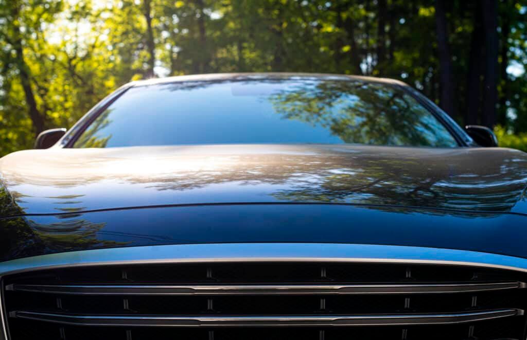 A close up of the front of a black car parked in the woods.