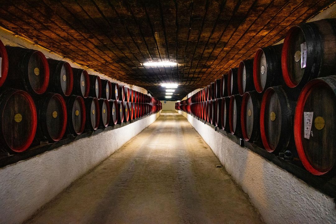 A tunnel filled with lots of barrels of wine.