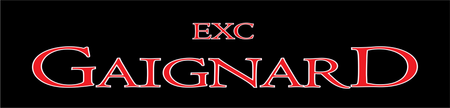 Les Excavations Ouellet Et Gaignard LOGO