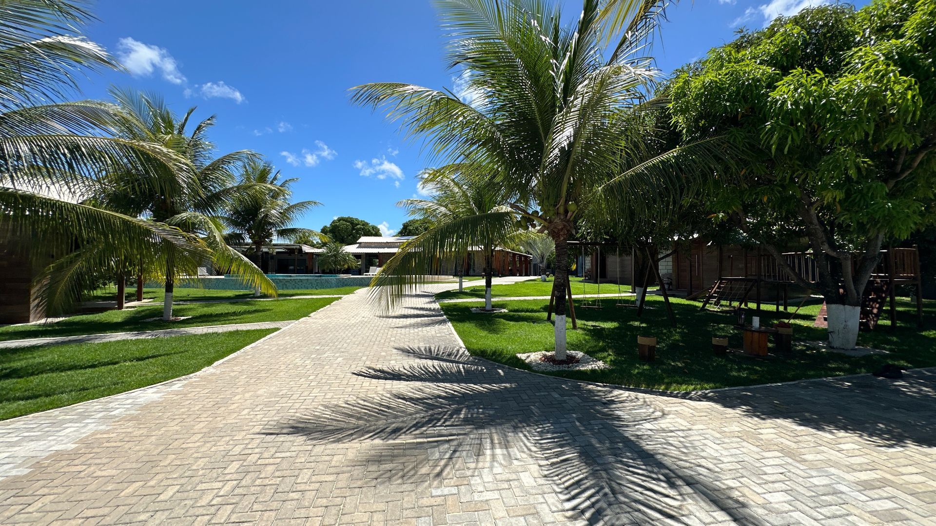 Uma passarela de tijolos cercada por palmeiras em um dia ensolarado.