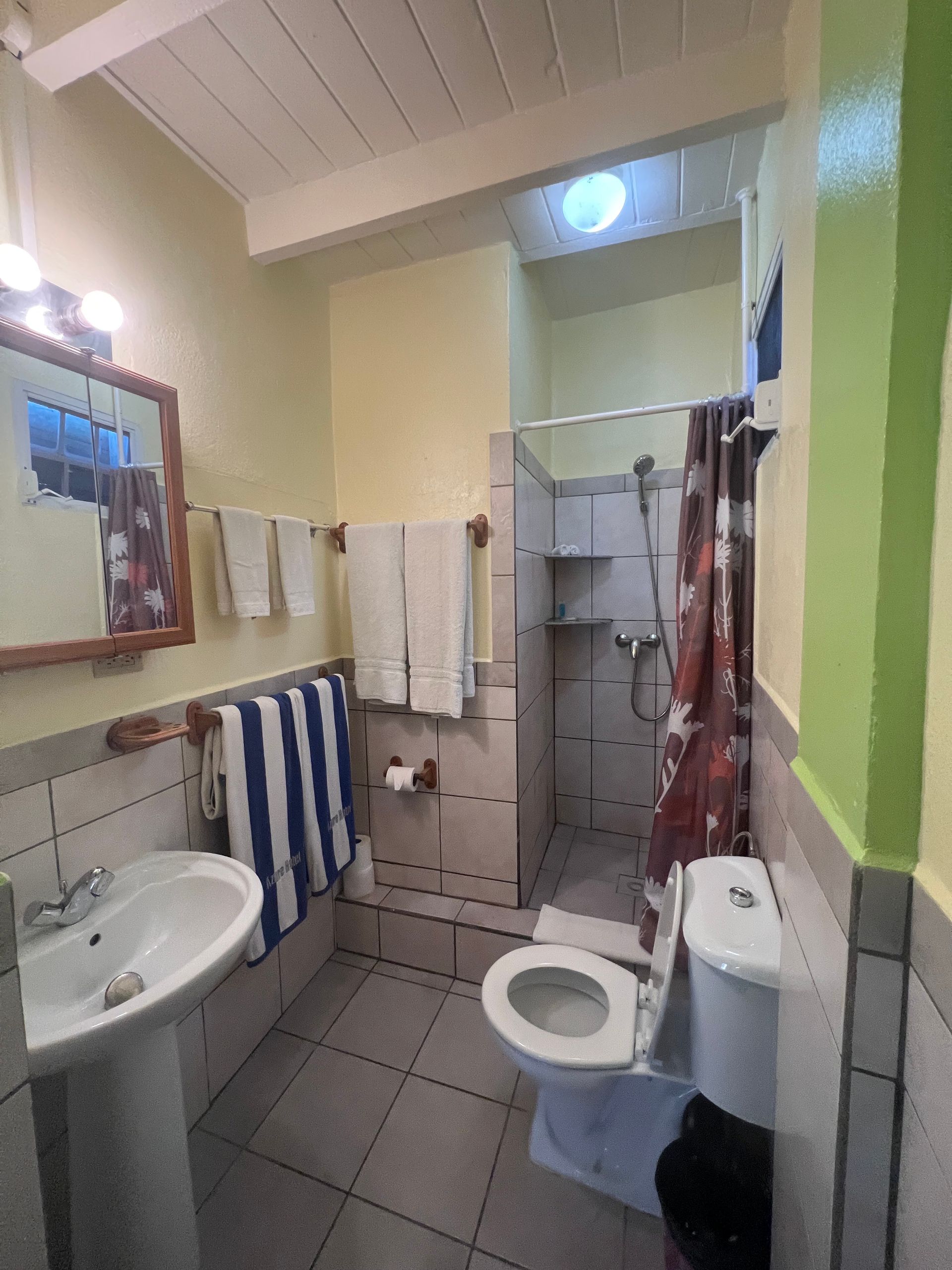 Small bathroom with a sink, toilet, and shower. Towels hang on the wall.