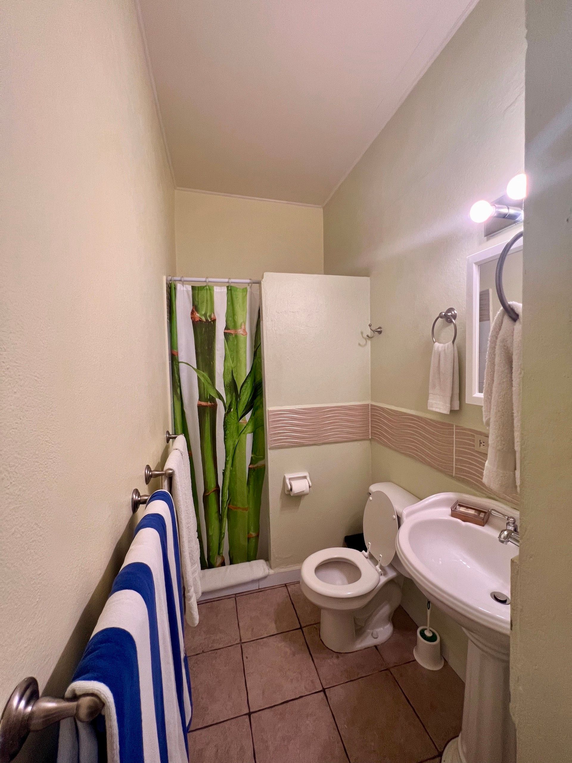 Small bathroom with toilet, sink, and shower with green bamboo curtain; towels on racks.