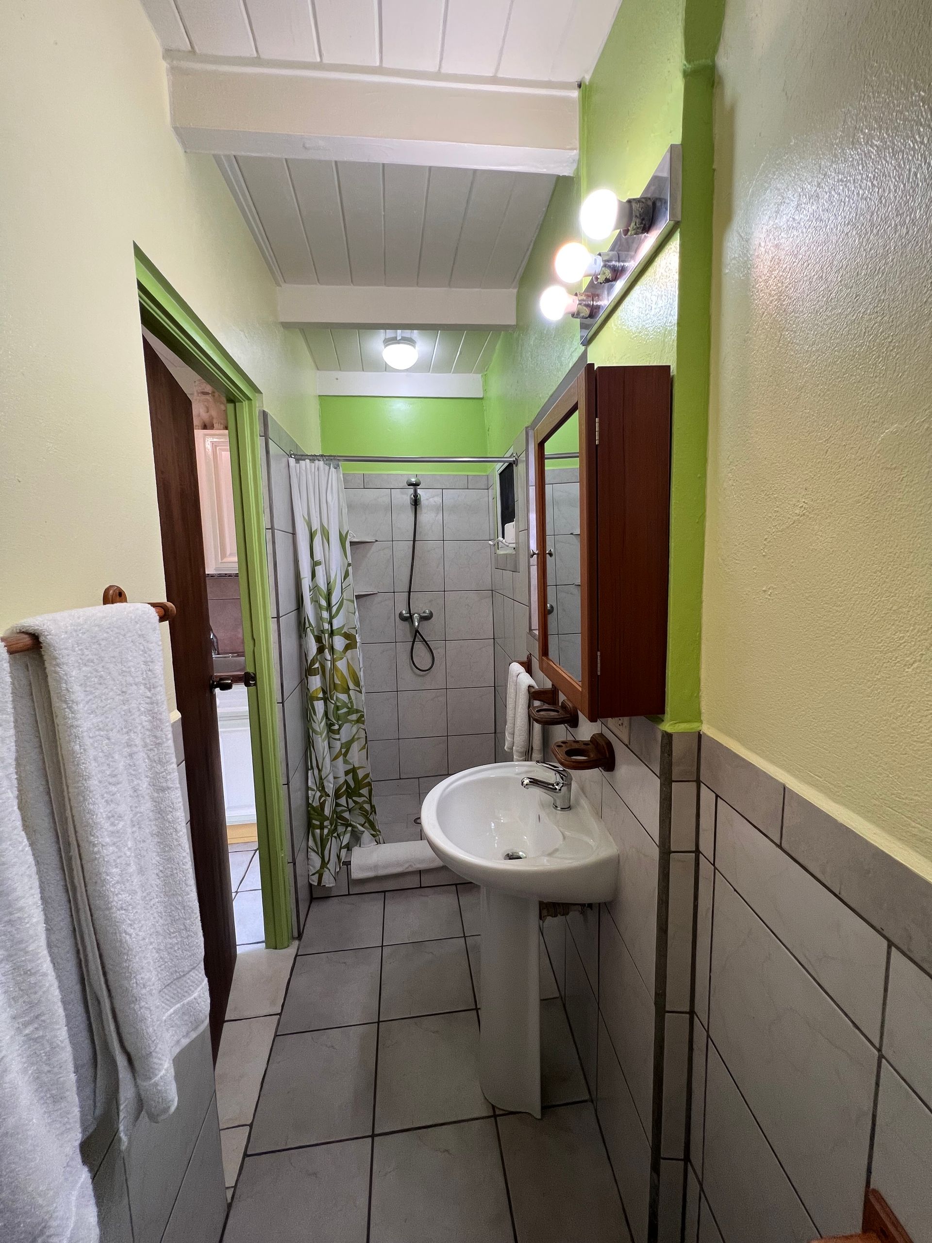 Narrow bathroom with pedestal sink, mirror, shower, towels. Green and white color scheme.