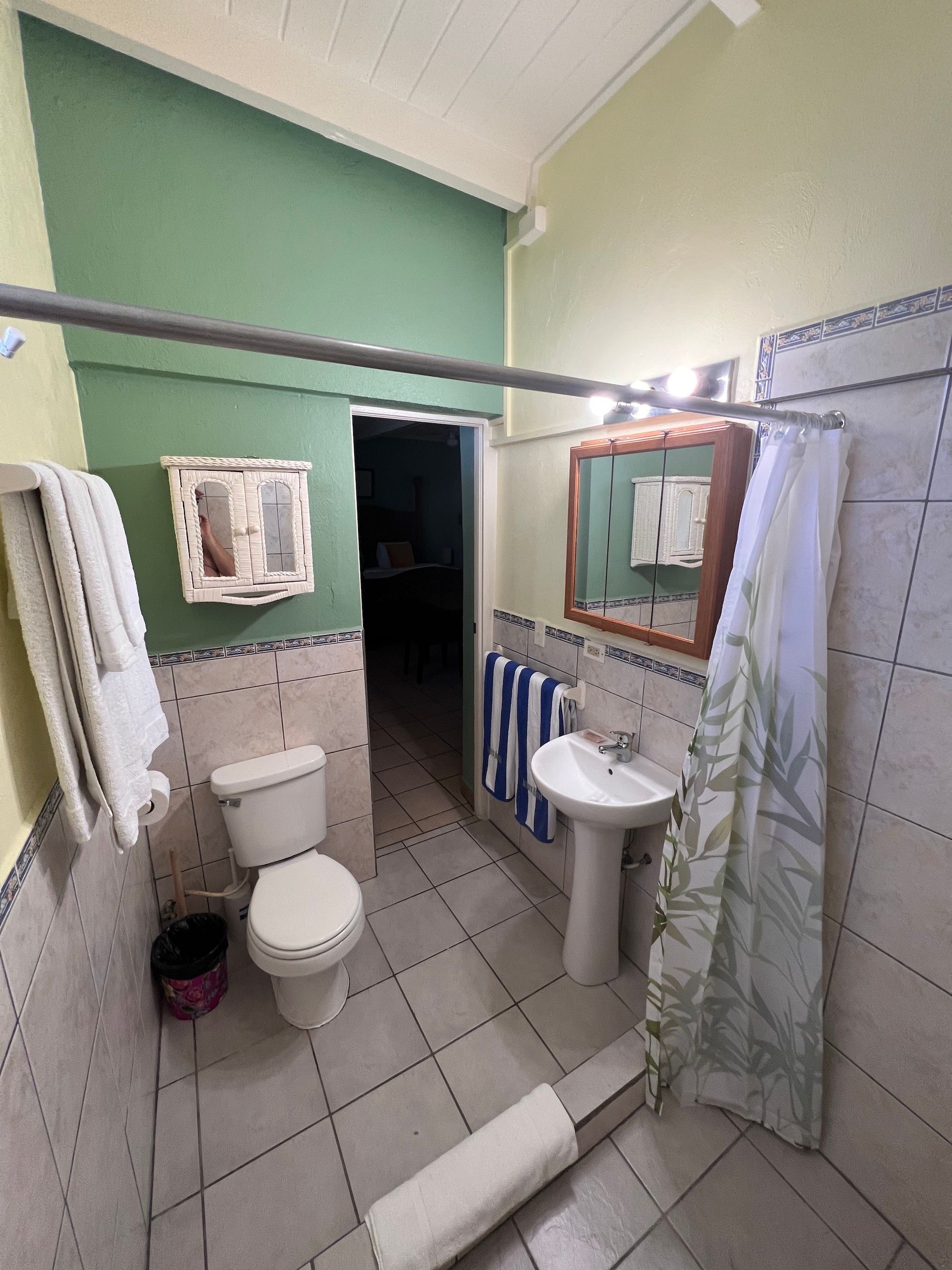 Bathroom with white fixtures, green and cream walls, and a shower curtain.
