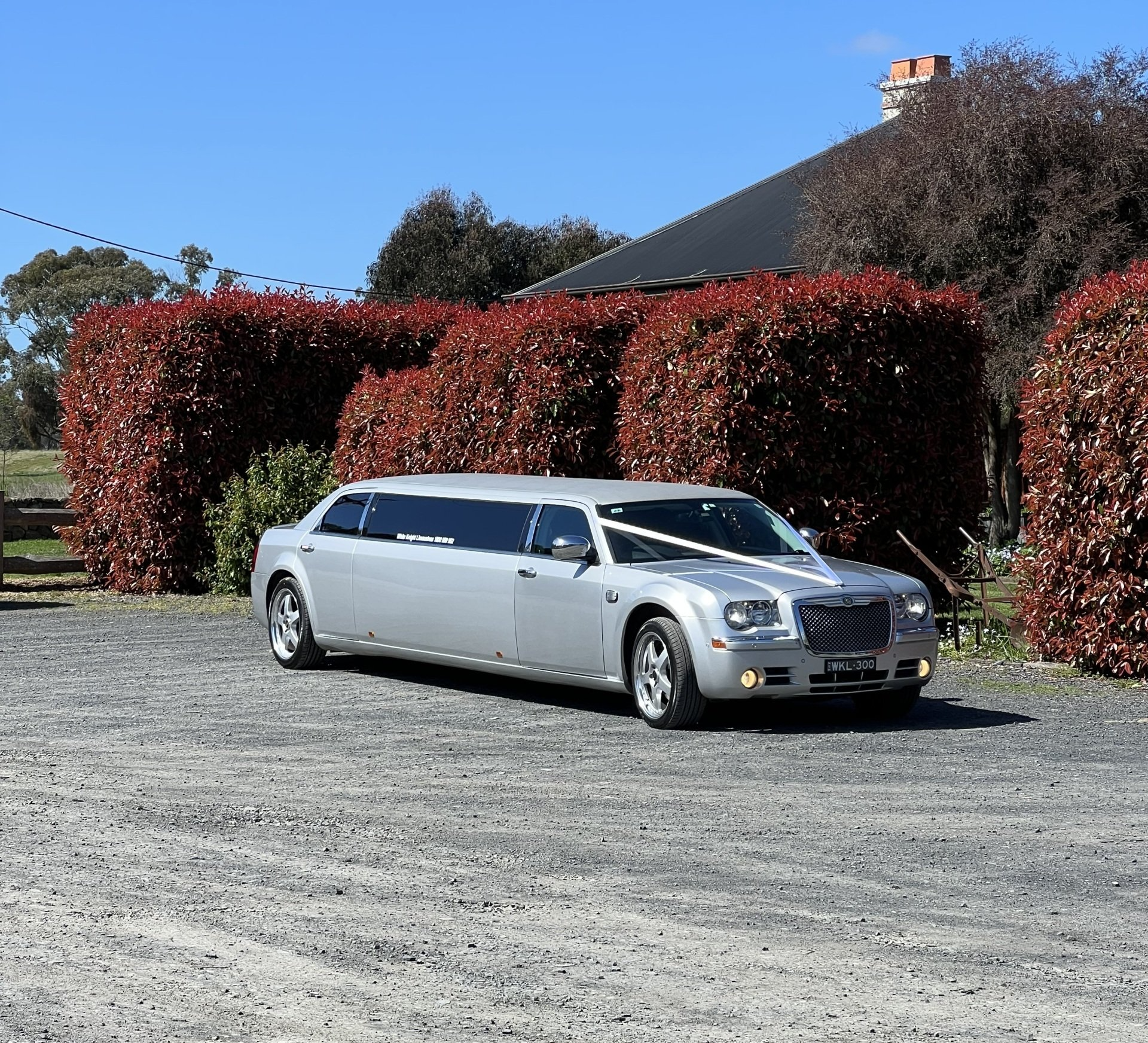 Pretty women having party in a limousine — Limousine Hire in Hunter Valley, NSW
