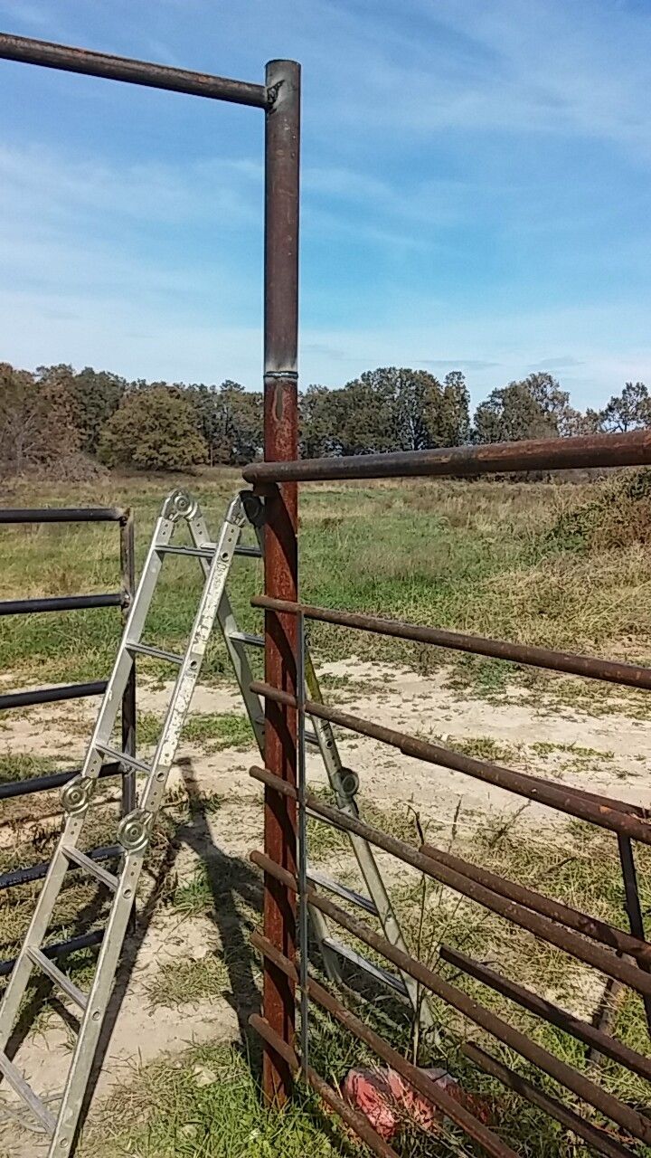 A ladder is sitting next to a rusty metal fence in a field.