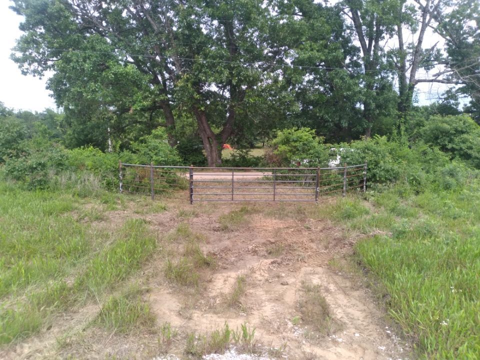 A dirt road going through a grassy field with trees in the background
