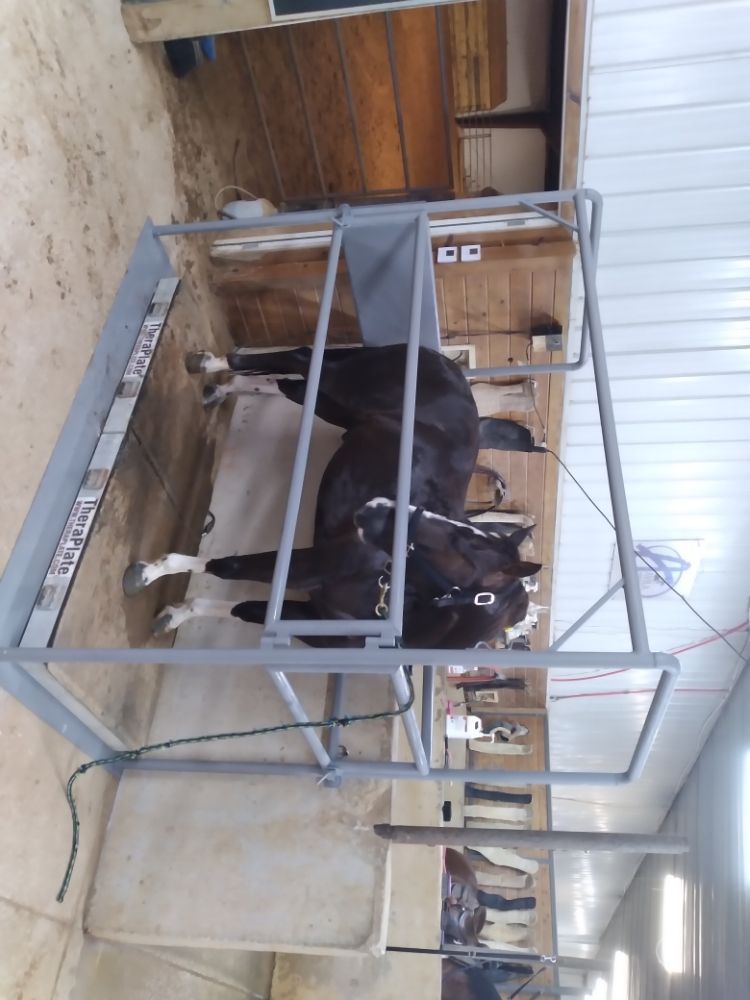 Two horses are standing in a fenced in area that says ' bosch ' on it