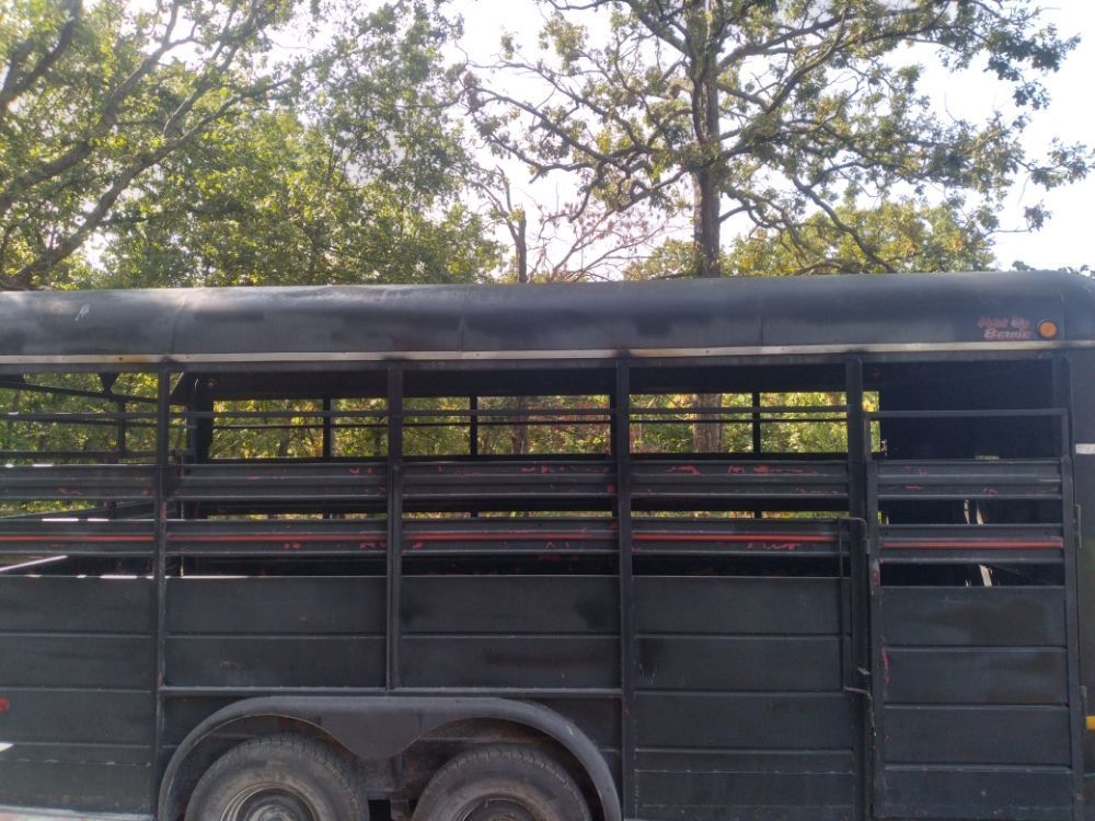 A black horse trailer is parked in front of trees.