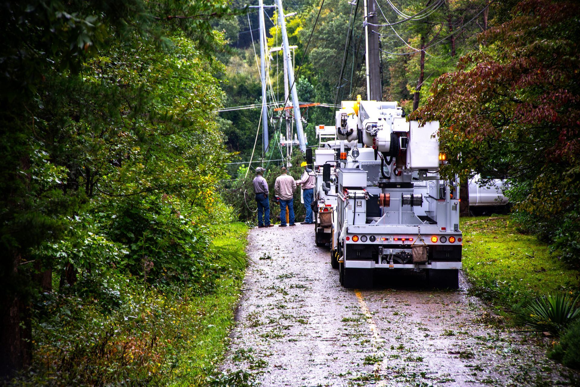 Workers Fixing Power Pole — Newcastle, NSW — Mainlec Australia Pty Ltd