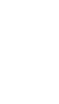 Lotus seal