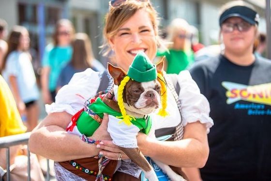 A woman is holding a small dog dressed in a costume.