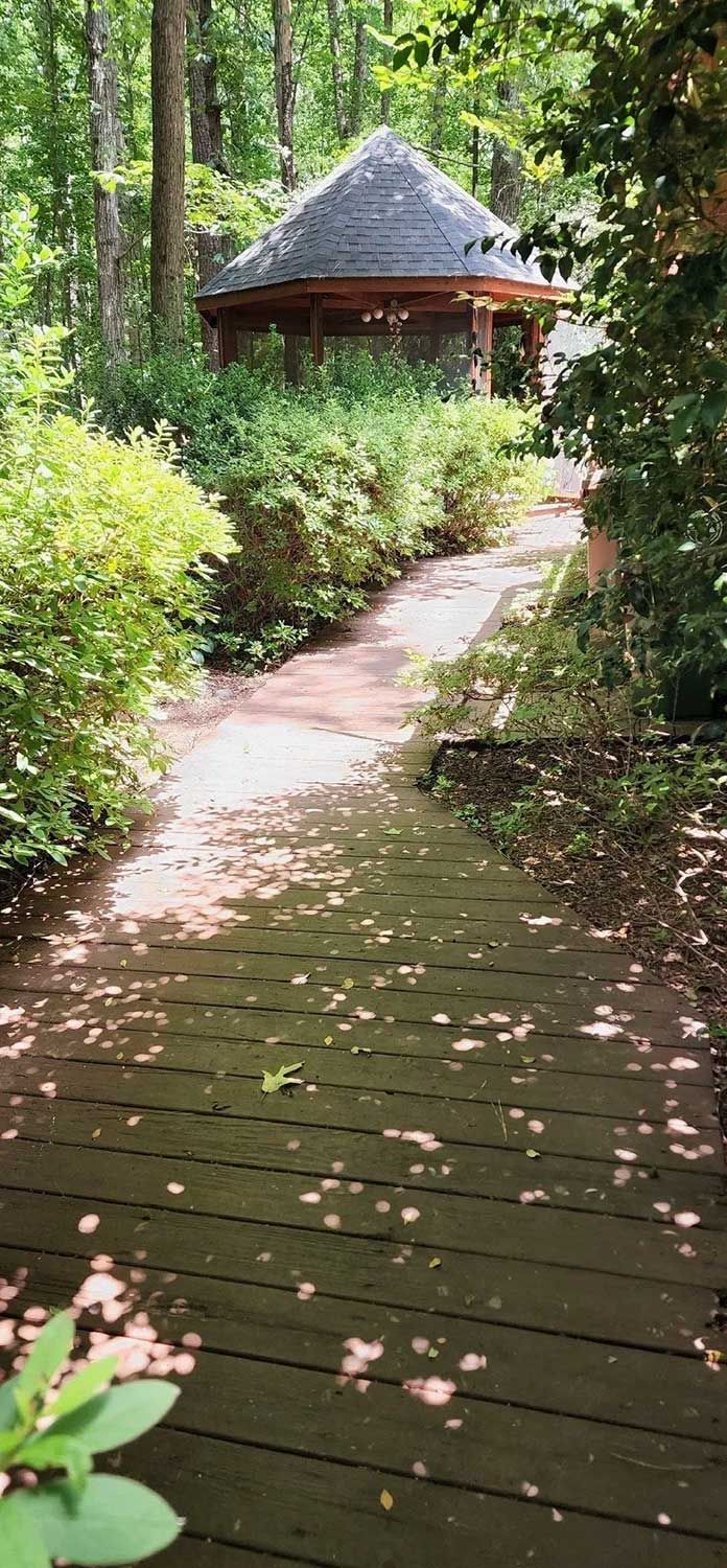 A wooden path leads to a gazebo in a forest setting, with sunlight dappling the path.