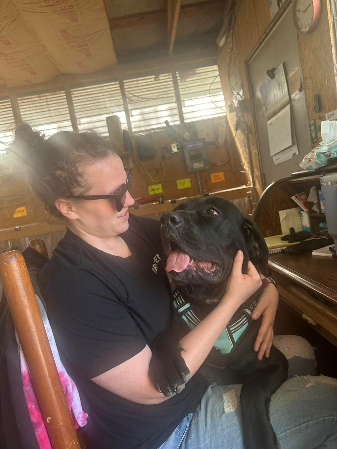 A woman is sitting in a chair holding a black dog.