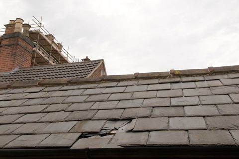 Roof repairs and maintenance services