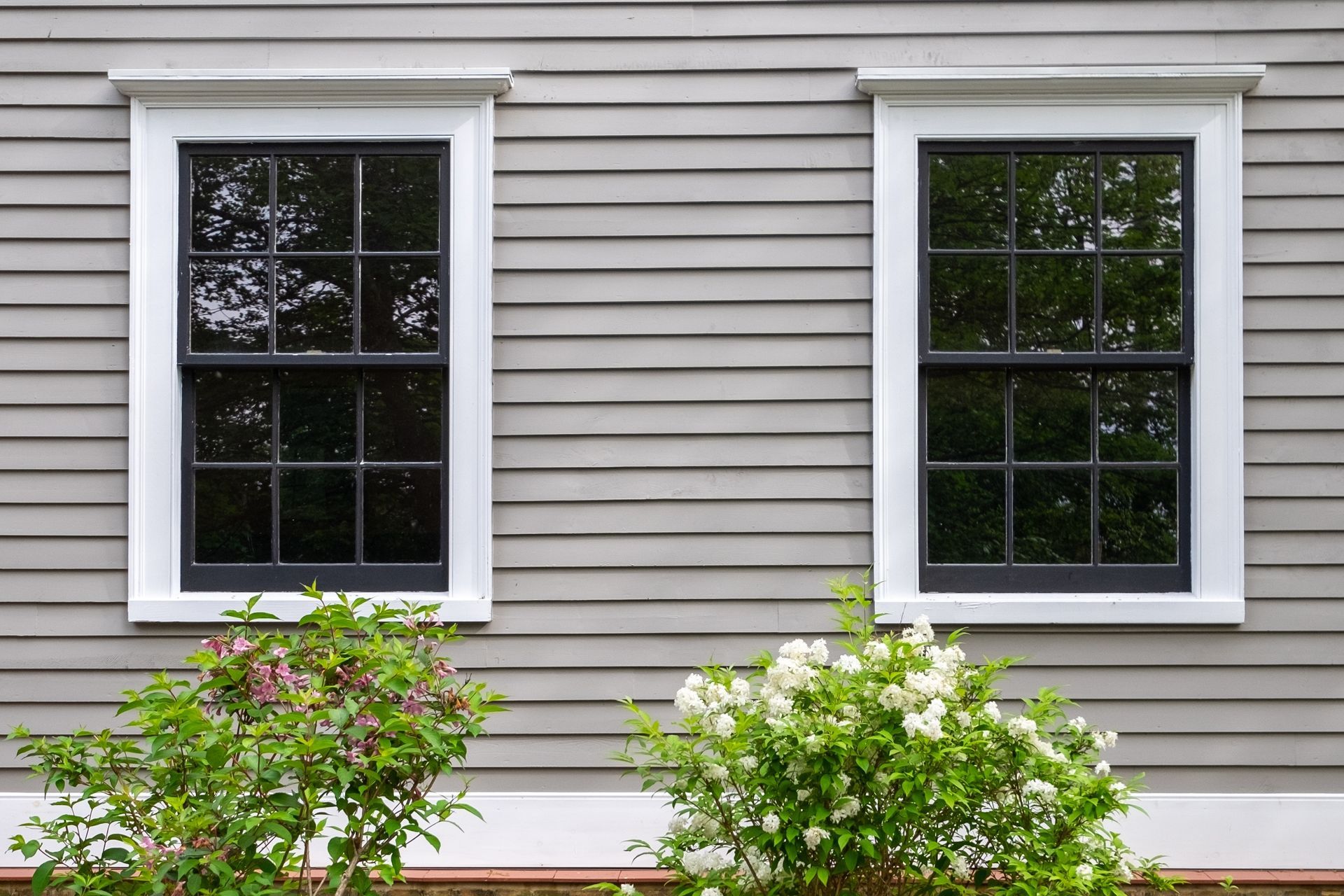 A house with two windows and a bush in front of it