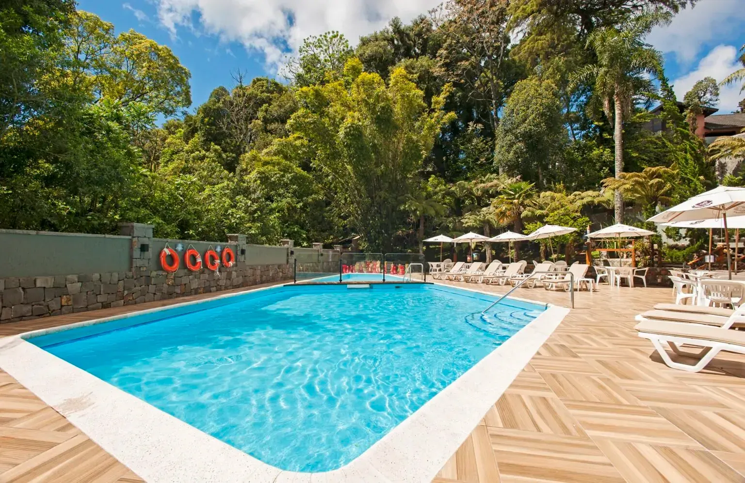 Piscina rodeada por espreguiçadeiras e guarda-sóis, com uma exuberante vegetação ao fundo.