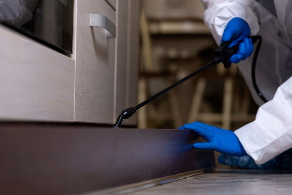 A Person Wearing Blue Gloves is Spraying a Door With a Sprayer — Rozken Pest Control Services In Port Macquarie, NSW