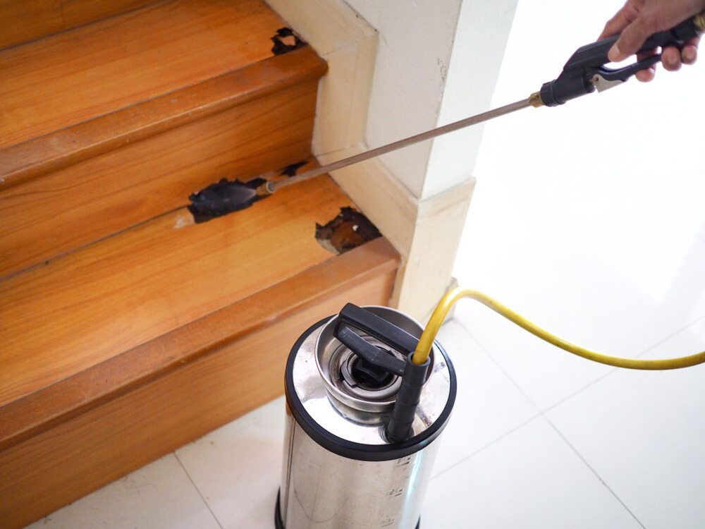 A Person is Spraying a Wooden Staircase With a Sprayer — Rozken Pest Control Services In Port Macquarie, NSW